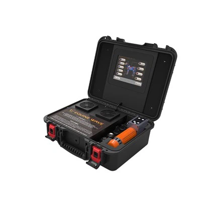 Terapia con onde d'urto sui cavalli